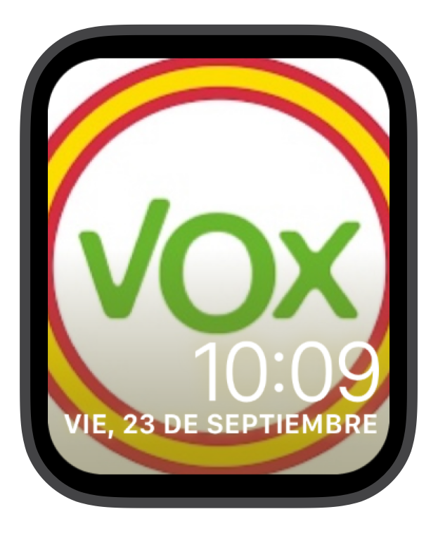 VOX Bandera 3 versiones