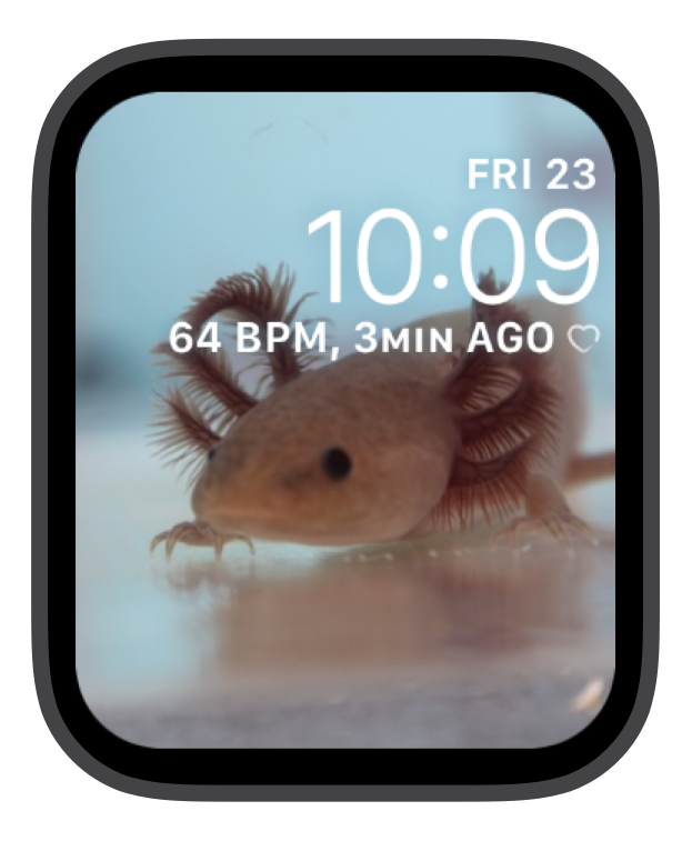 axolotl MAC